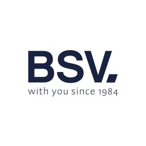 Dosificadoras y electrolisis salina BSV logo